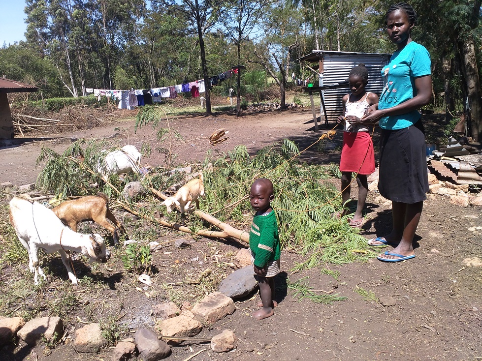 Cherotich is able to feed her family today!