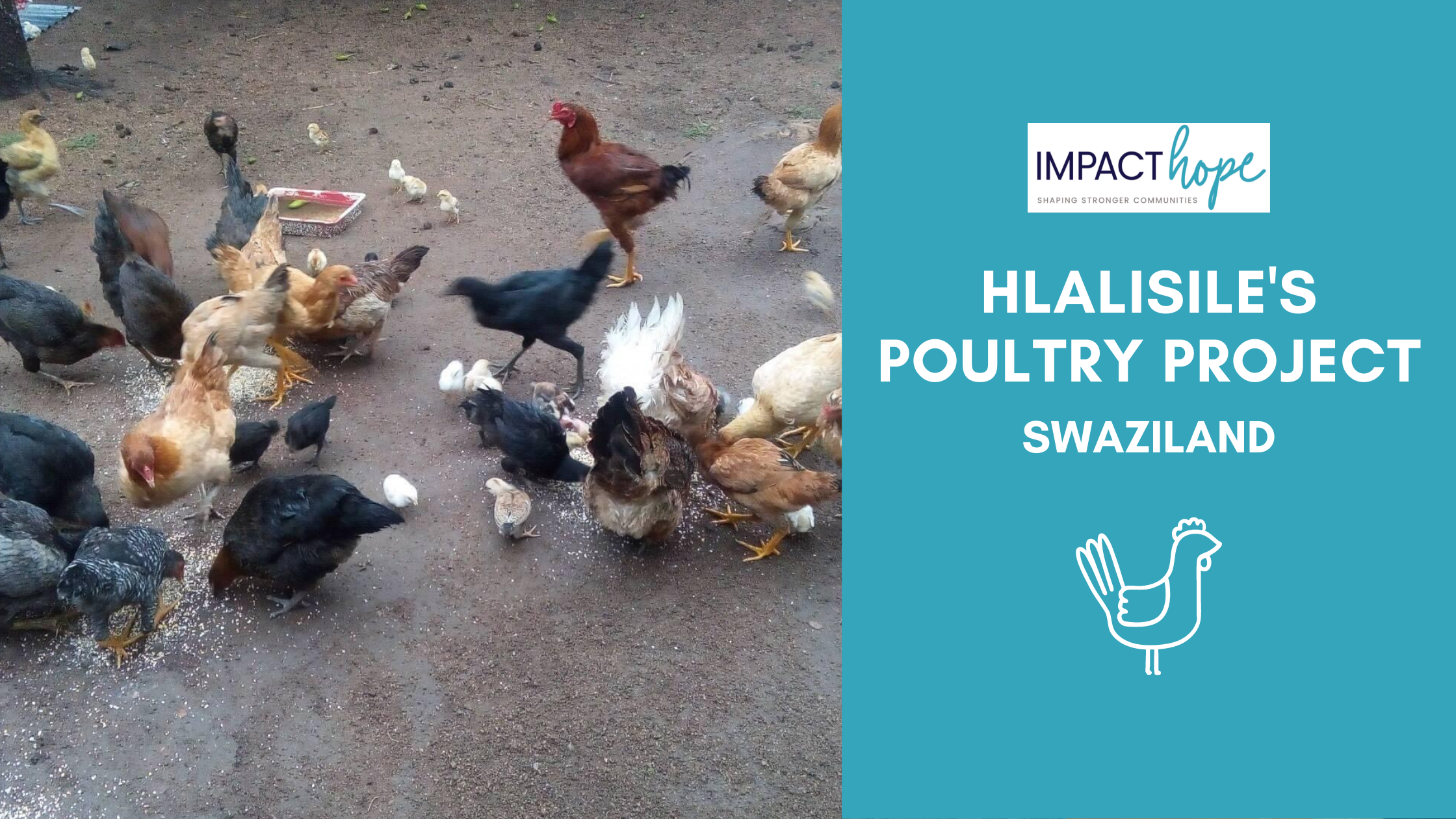 Hlalisile's Poultry Project